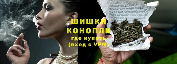 индика Бородино
