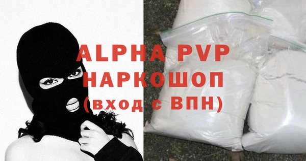 индика Бородино
