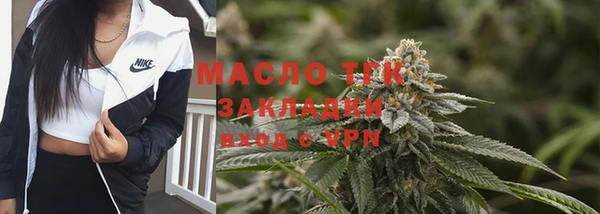 индика Бородино