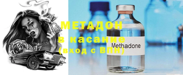 индика Бородино