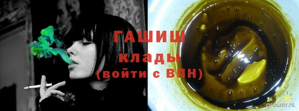 индика Бородино