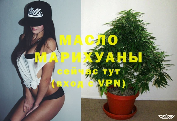 индика Бородино
