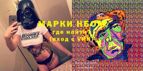 индика Бородино