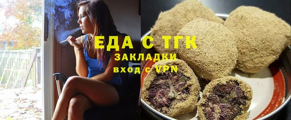 индика Бородино