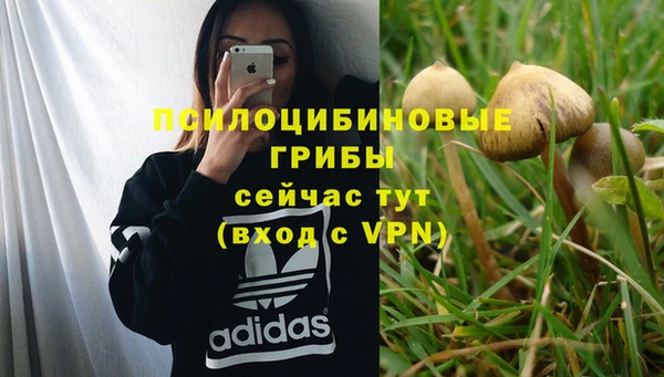 крисы Бугульма