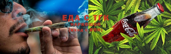 индика Бородино