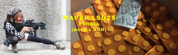 крисы Бугульма