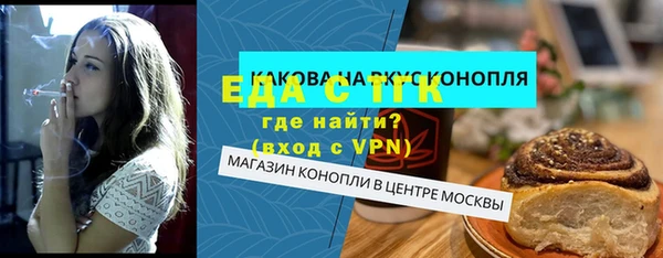 индика Бородино