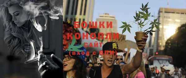 крисы Бугульма