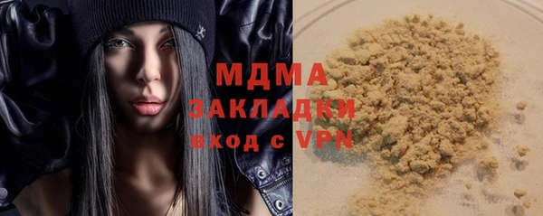индика Бородино