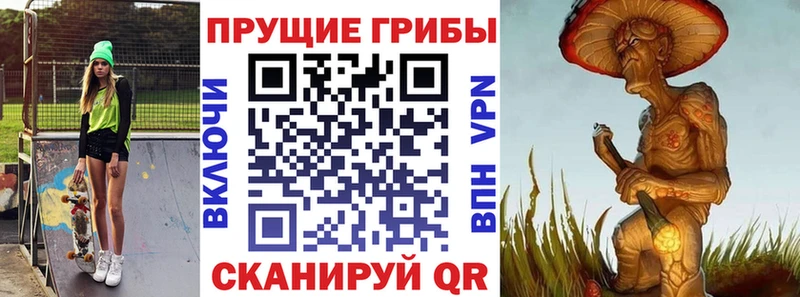 блэк спрут зеркало  Цоци-Юрт  Галлюциногенные грибы мухоморы  как найти наркотики 
